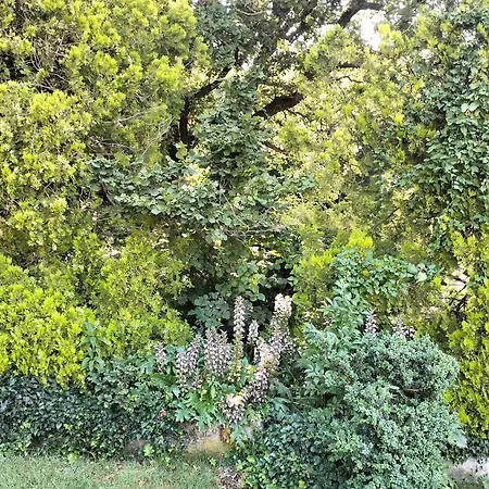 Idria 14 Bed & Breakfast